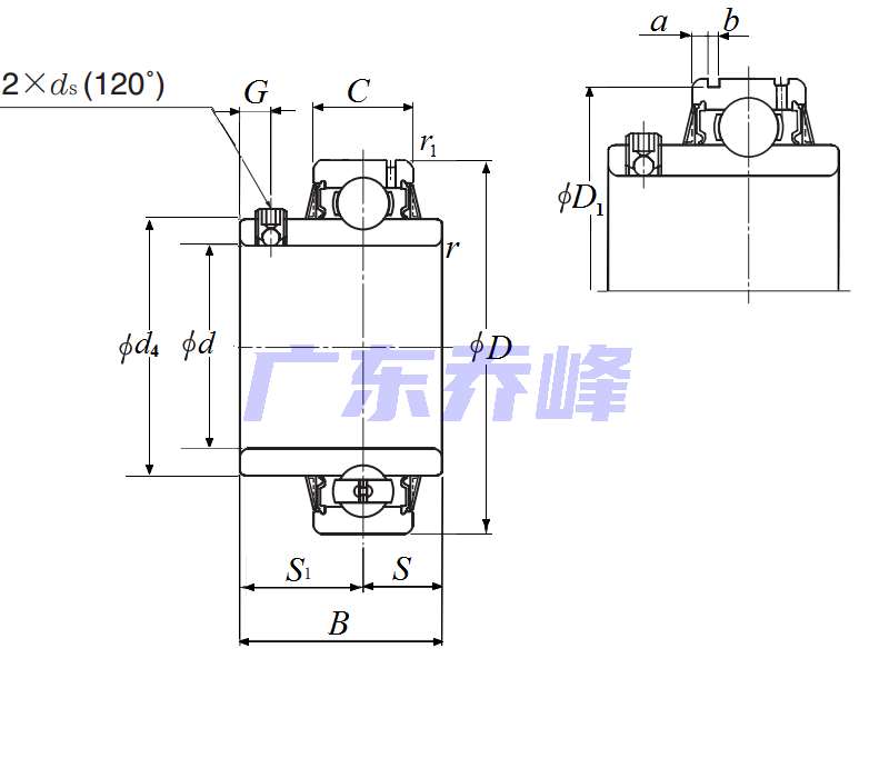NTN UCS205-100LD1N軸承圖紙