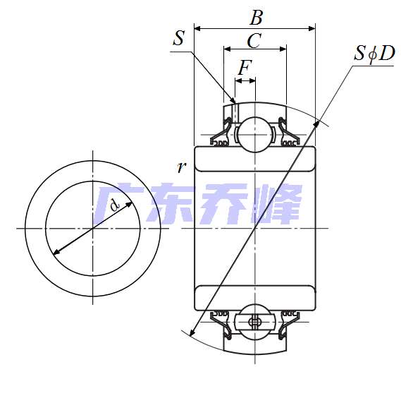 NTN DS211TTR13軸承圖紙