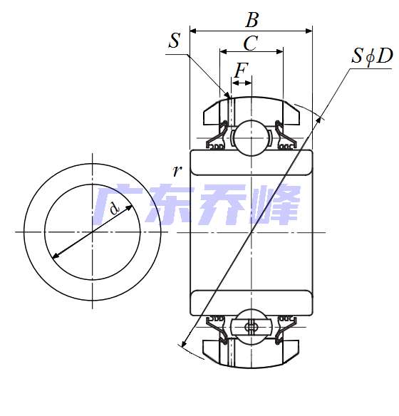NTN DS209TTR6JA軸承圖紙