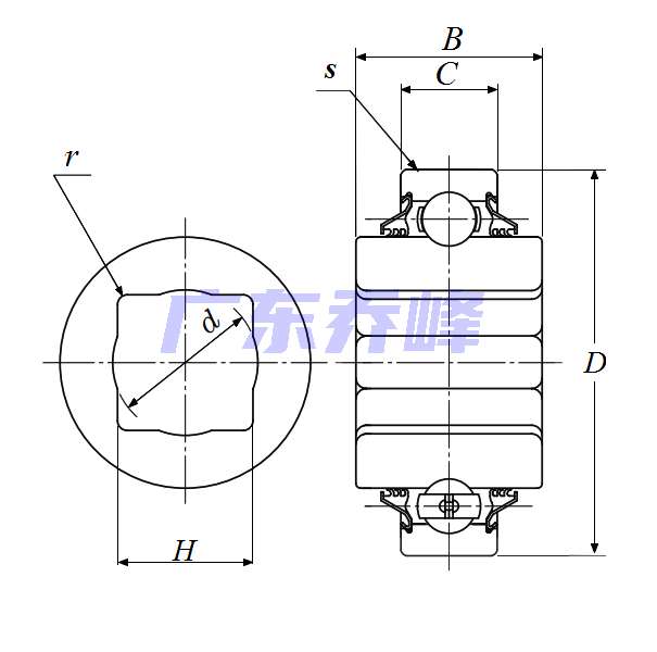 NTN DC209TTR8軸承圖紙