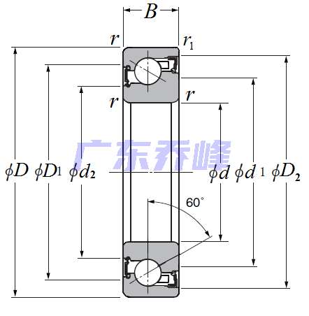 NTN BST25X62-1BLXLP4軸承圖紙