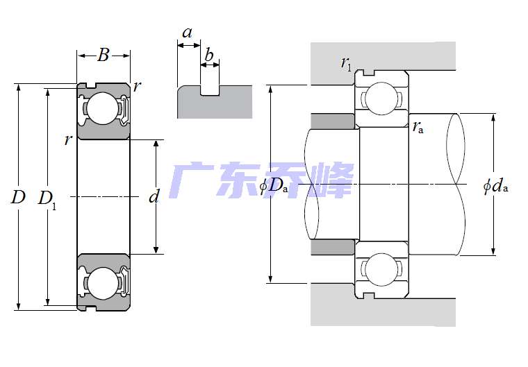 NTN 6016LBN軸承圖紙