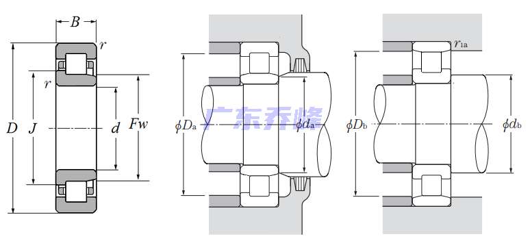 NTN NJ1015軸承圖紙