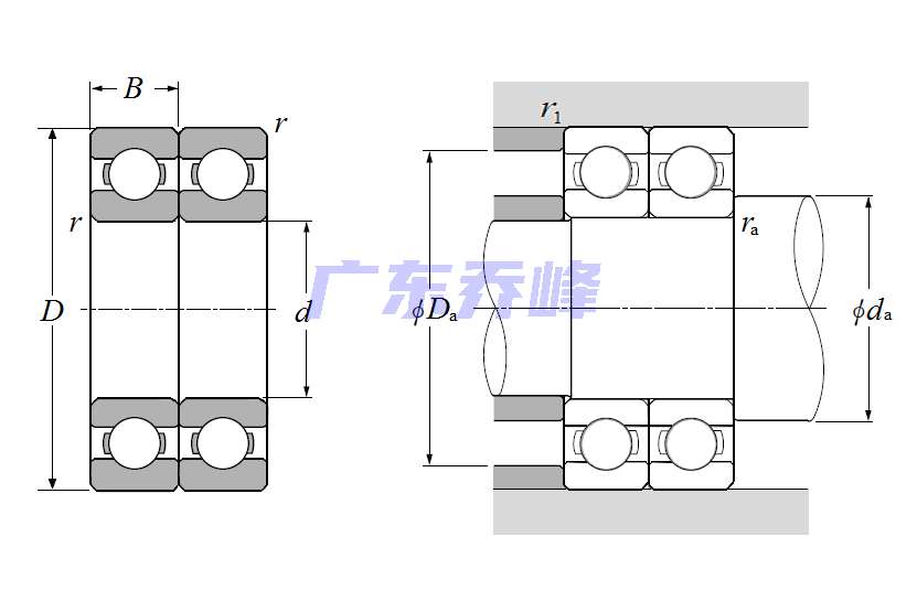 NTN 6009PX9V21D2軸承圖紙