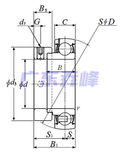 NTN SES207軸承圖紙