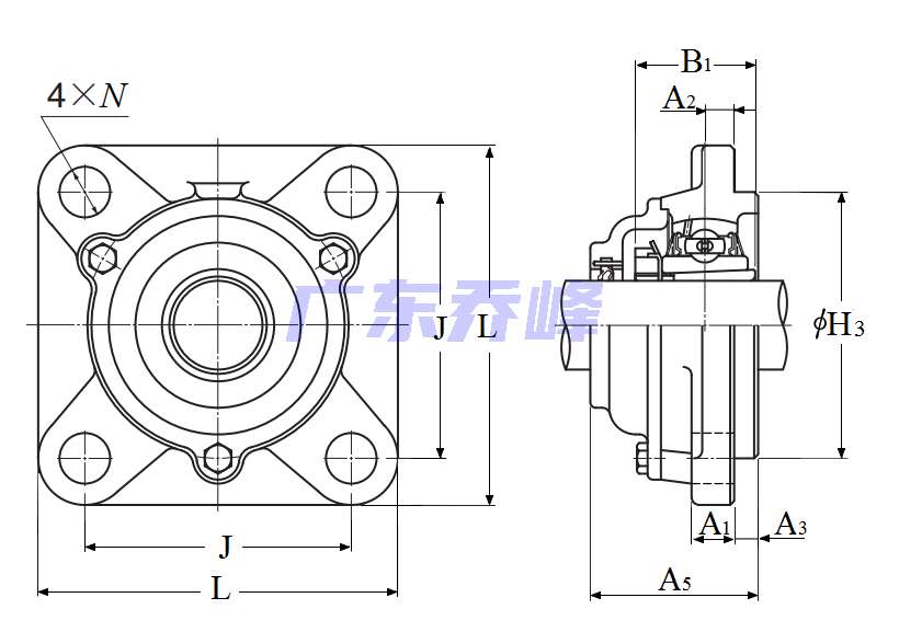 NTN C-UKFS315D1 (when used with HE2315X)軸承圖紙