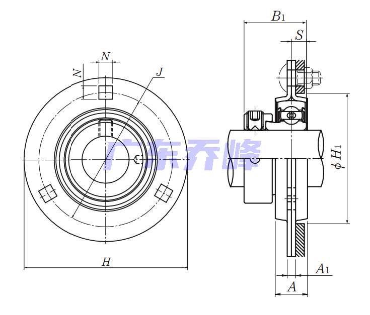 NTN AELPF205-014軸承圖紙