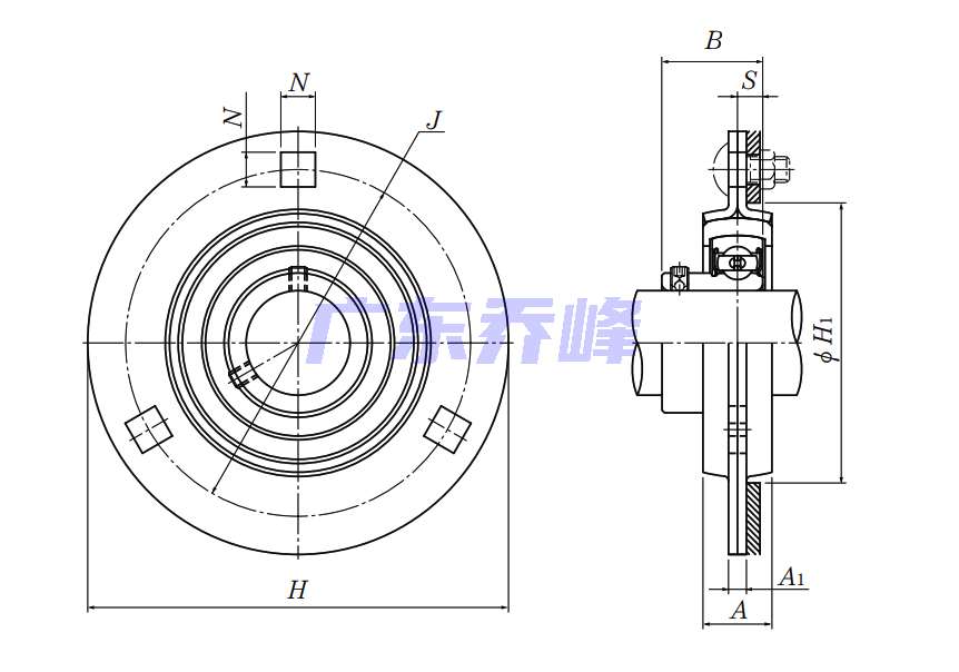 NTN ASRPF204-012軸承圖紙