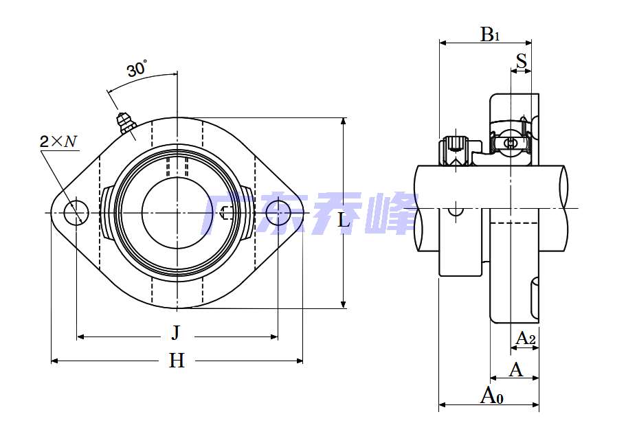 NTN AELFD206-102軸承圖紙