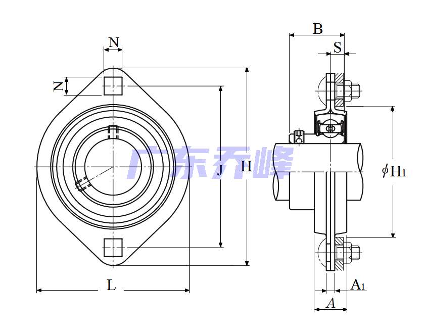 NTN ASPFL203軸承圖紙