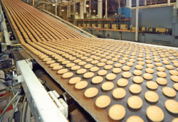 食品機械常用哪些軸承？食品機械用軸承簡介